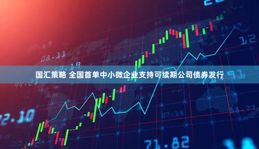 国汇策略 全国首单中小微企业支持可续期公司债券发行